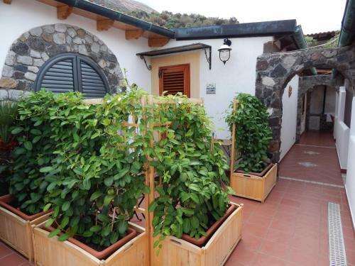 Bed & Breakfast Casa Arcada