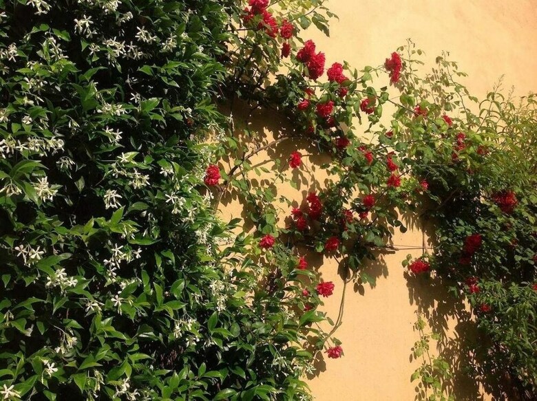 Hotel Albergo Giardinetto