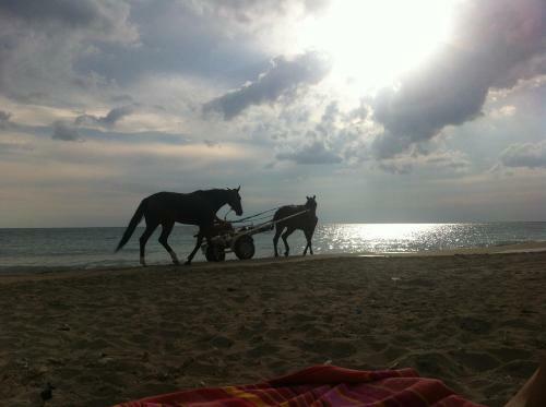 Bed & Breakfast La Dimora Dell'inglese