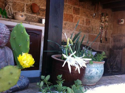 Bed & Breakfast La Dimora Dell'inglese
