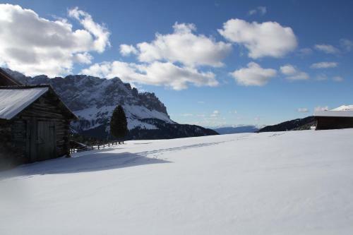 Bed & Breakfast Ciasa Br�scia