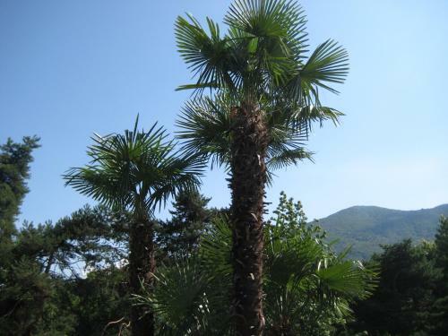 Apartamento Villa Margherita