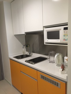 Aparthotel Citadines Singapore Mount Sophia