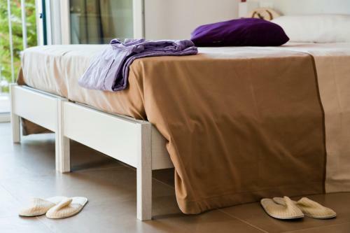Hotel Cic�
