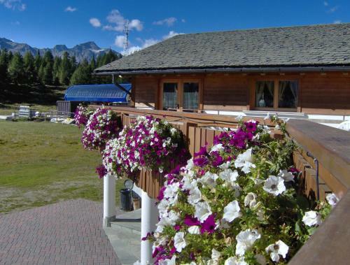Hotel Albergo Bucaneve