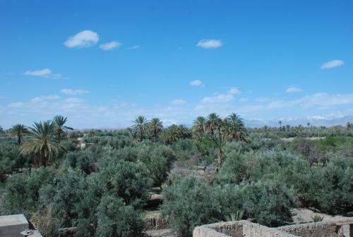 Agroturismo Dar Diafa