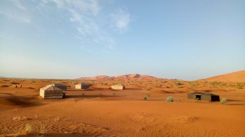 Night Desert Camp
