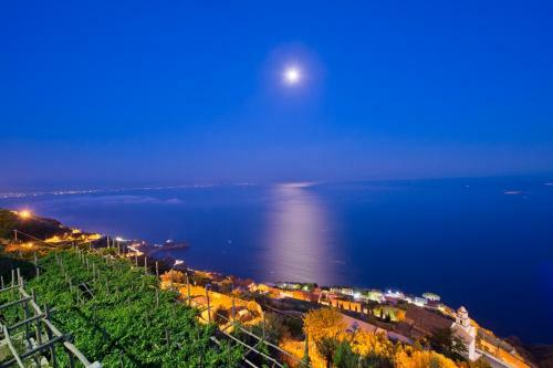 Bed & Breakfast La Mela Blu