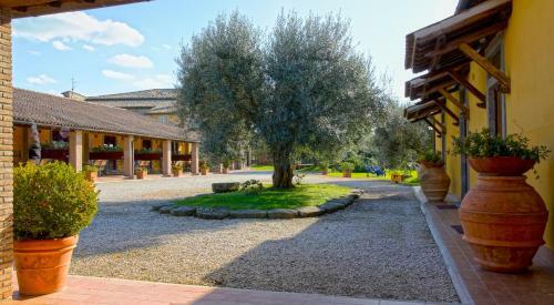 Agroturismo Arlena Agriturismo