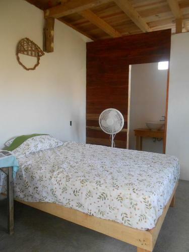 Hostal Cafe Maya - Casa Acalli