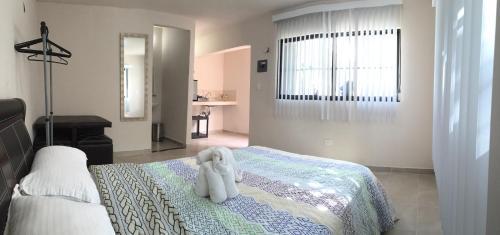 Apartamento Casa 244