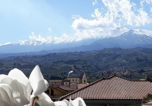 Bed & Breakfast La Mia Dolce Casa