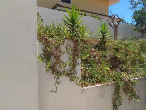 Apartamento Villa Bungaville A Olbia