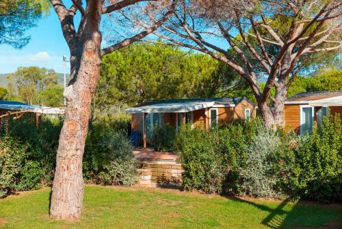 Camping Lacona Pineta