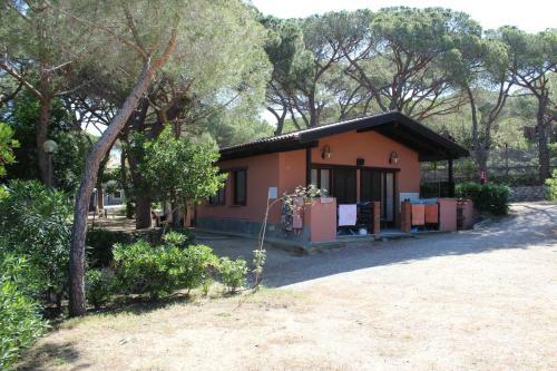 Camping Lacona Pineta