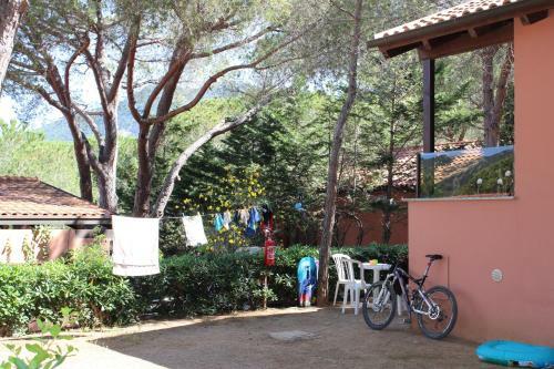 Camping Lacona Pineta