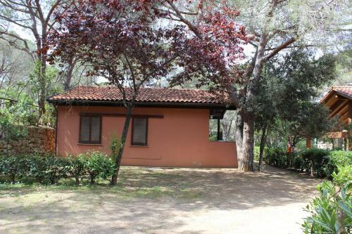 Camping Lacona Pineta