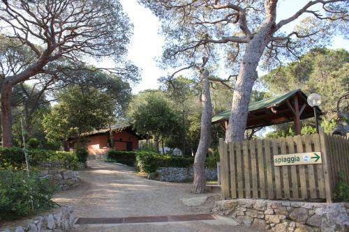 Camping Lacona Pineta