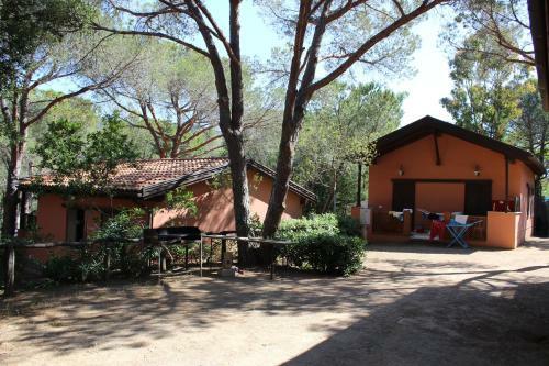 Camping Lacona Pineta