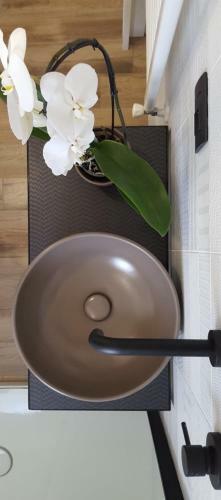 Apartamento Attico Da Rosa