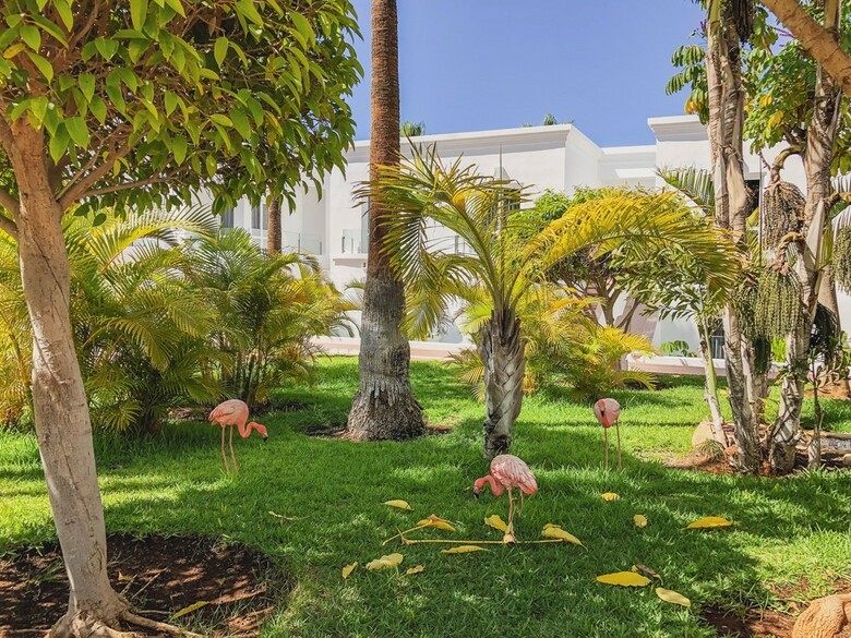 Hotel Flamingo Beach Mate