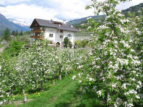 Bed & Breakfast Pension Laurin