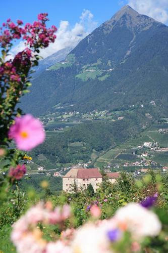 Bed & Breakfast Pension Laurin