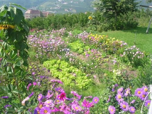 Bed & Breakfast Pension Laurin