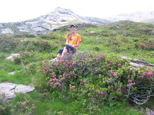 Bed & Breakfast Pension Laurin