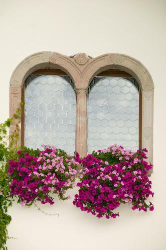 Bed & Breakfast Pension Laurin