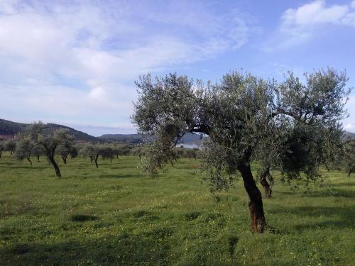 B&B La Casa Bianca Di Porto Conte