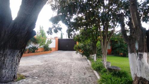 Hotel Los Mezquites