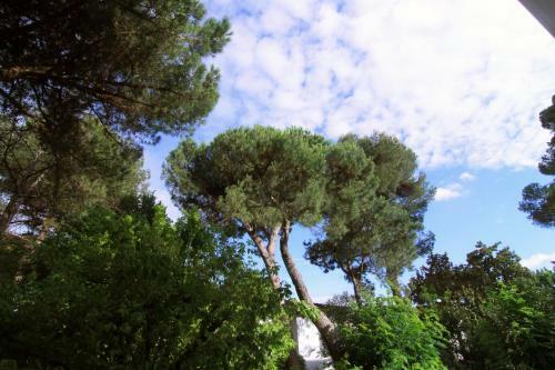 Hotel Garni Picnic