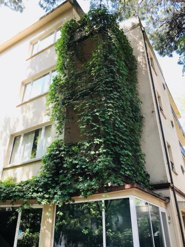 Hotel Garni Picnic