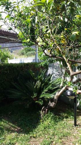 Casa Vacanze Miseno