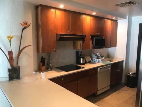 Apartamento Mayan Playa Departamento Copan 5 Recamaras Pb