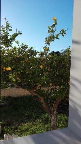 Bed & Breakfast La Casa Delle Farfalle