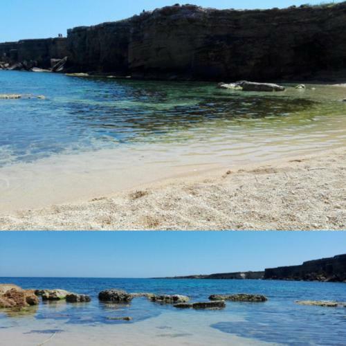 Bed & Breakfast La Casa Delle Farfalle