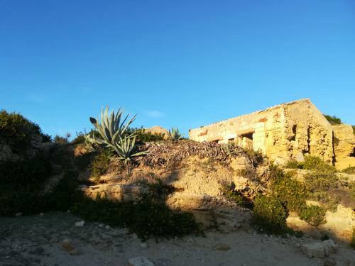 Bed & Breakfast La Casa Delle Farfalle