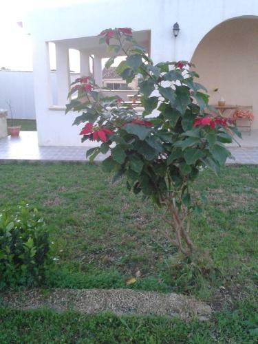 Bed & Breakfast La Casa Delle Farfalle
