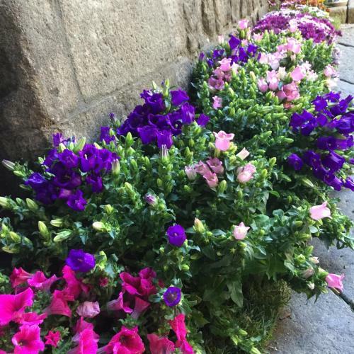 L'antico Loco Commodo