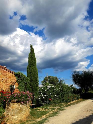 Hostal Agriturismo Poggio Pistolese