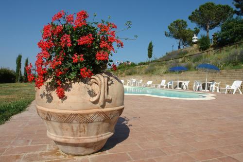 Hostal Agriturismo Poggio Pistolese