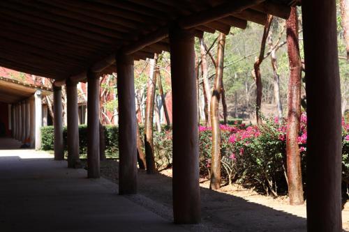Hotel Hacienda San Pancho