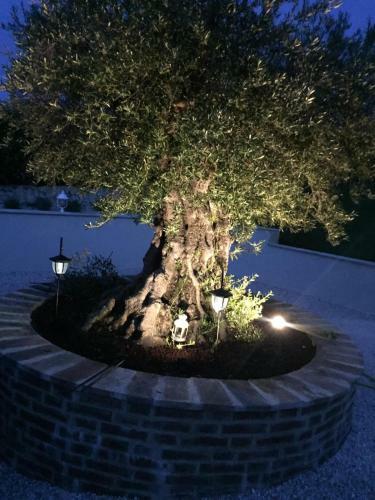 Apartamento Casa Sant' Anna