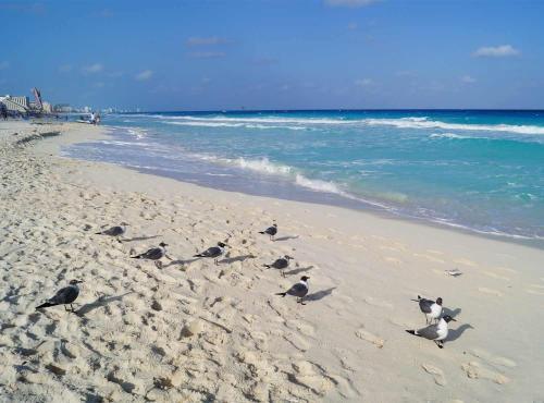 Aparthotel Apartment Ocean Front Cancun