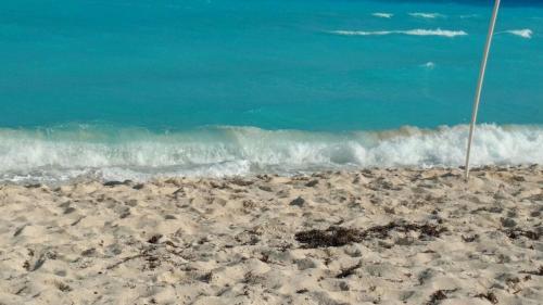 Aparthotel Apartment Ocean Front Cancun