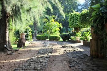 Hostal Quinta Los Pinos