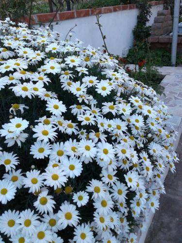 Borgo Manfria B&B