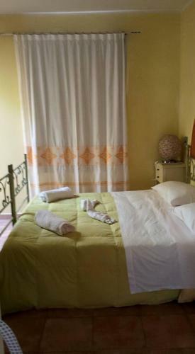 B&B Belvedere